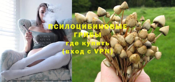 дурь Березники