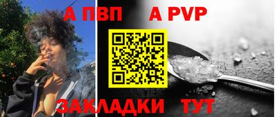 дмт Аргун