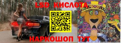 дмт Аргун