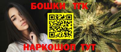 дмт Аргун