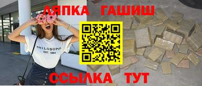 дмт Аргун