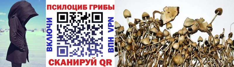 Галлюциногенные грибы мухоморы  купить   Кисловодск 