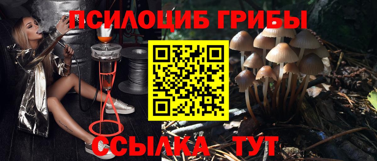 Кисловодск  Псилоцибиновые грибы ЛСД  Вход с VPN  Галлюциногенные грибы ЛСД 